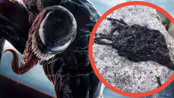 Viral Video : కనీ వినీ ఎరుగని వింత జీవి.. ఏంటో తెలియక జుట్టు పీక్కుంటున్న నెటిజెన్స్..