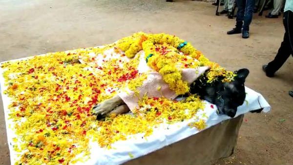 బెజవాడ పోలీసుల నేస్తం ఇక లేదు- అనారోగ్యంతో డాగ్ రాజా మృతి...అధికార లాంఛనాలతో అంత్యక్రియలు