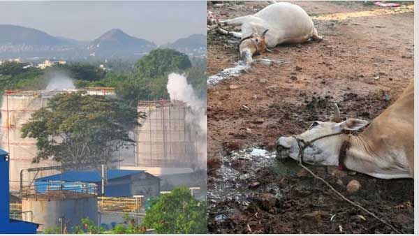 షాకింగ్: విశాఖ విషానికి బ్యాక్టీరియా తోడైతే.. మరో ఉత్పాతం తప్పదా? బాధితులు ఇళ్లకు వెళ్లేదెలా?