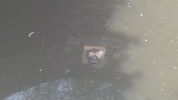 పోలీసులకు సవాల్ గా ..9మంది వలస కార్మికుల డెత్ మిస్టరీ ..కీలకంగా కండోమ్ ప్యాకెట్లు , బర్త్ డే పార్టీ