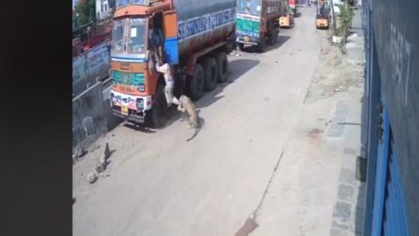 వామ్మో.. చిరుత, క్షణకాలంలో పంజా నుంచి తప్పించుకున్న డ్రైవర్, బతుకుజీవుడా అంటూ..(వీడియో)