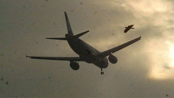 మే 17 నుంచి విమాన సర్వీసులు ? ప్రైవేట్ ఎయిర్ లైన్స్ తో కేంద్రం చర్చలు..