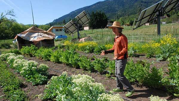 కరోనా దెబ్బ: కంప్యూటర్ పక్కనబెట్టి.. నాగలి చేత పట్టిన టెక్కీలు, వ్యవసాయమే బెస్ట్ అంటూ రంగంలోకి..!