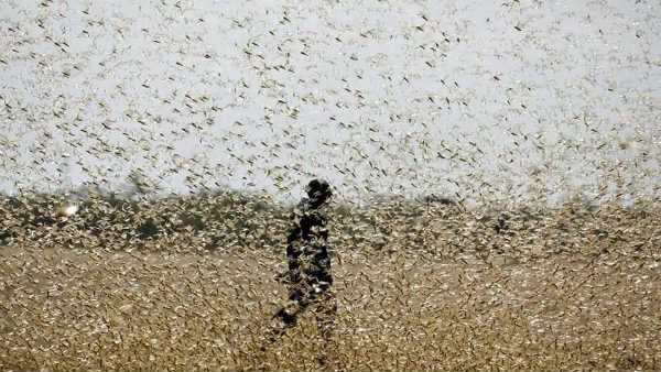 మరో గండం.. 27 ఏళ్లలో కనీ వినీ ఎరుగని.. భారత్‌పై అతిపెద్ద వినాశనకర దాడి..