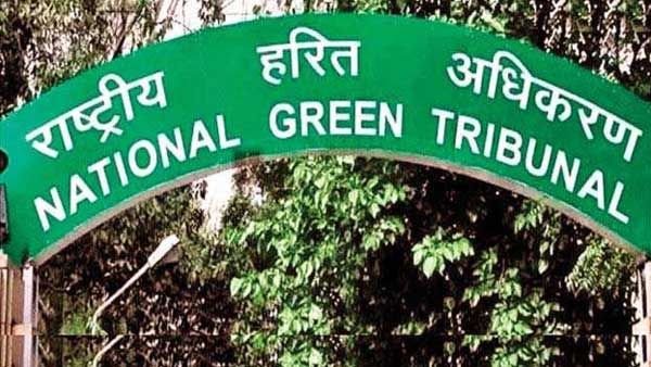 ఏపీ ప్రభుత్వానికి మరో ఎదురుదెబ్బ: పోతిరెడ్డిపాడుపై ఎన్‌జీటీ స్టే, నిపుణులతో కమిటీ