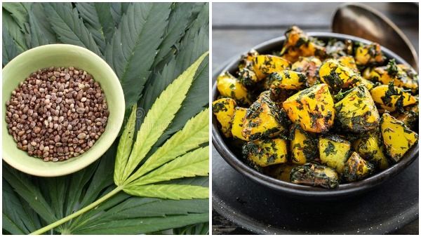 షాకింగ్ : ఆలు మెంతి కూర... కానీ అసలు సంగతి వేరే... ఆస్పత్రిలో కుటుంబం