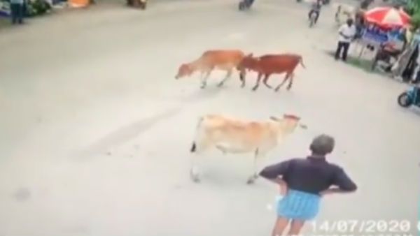 Shocking incident: 20 చక్రాల లారీ కింద ఆటో డ్రైవర్ ఏం చేశాడో చూడండి, వీడియో వైరల్ !