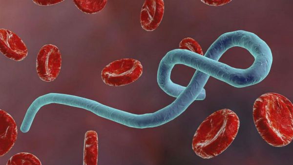 కరోనాకు తోడుగా మరో వైరస్ దండయాత్ర: పాతదే.. కొత్తగా: ఉధృతంగా వ్యాప్తి: డబ్ల్యూహెచ్ఓ వార్నింగ్