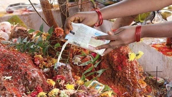 నాగుల చవితి అంటే ఏమిటి..?  పుట్టలో పాలు పోయొచ్చా..? పుట్టకు సంసారంకు సంబంధమేంటి..?