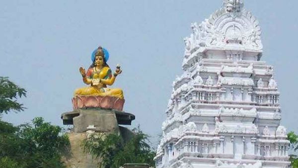 నాగుల పంచమి రోజున... బాసర సరస్వతి ఆలయంలో కొండ చిలువ కలకలం...