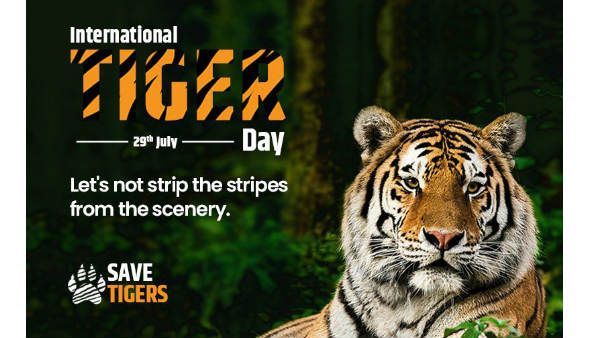 International Tigers Day:ప్రమాదపుటంచుల్లో పులులు.. దేశంలో ఎన్ని ఉన్నాయో తెలుసా..?