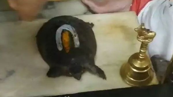 ఇక కరోనా అంతమే!: చిలుకూరు బాలాజీ ఆలయంలో అద్భుతం