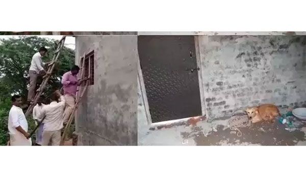 ఆ శునకం తెలివి చూడు.. గదిలోకి వెళ్లి మరీ.. చూసి నోరెళ్లబెట్టిన కూలీలు