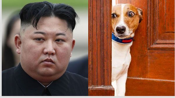 కుక్కలనూ వదలని కిమ్ జోంగ్... సంచలన ఆదేశాలు.... అదే కారణమా...