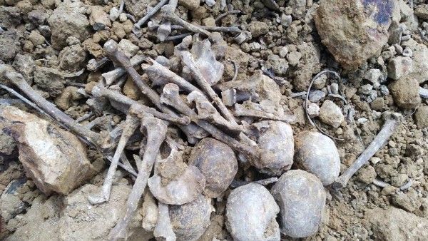 12 పుర్రెలు, ఎముకలు, ఆభరణాలు ప్రత్యక్షం.. కొండచరియ నుంచి రావడంతో..