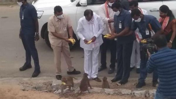 కేసీఆర్ యాదాద్రి పర్యటనలో ఆసక్తికరం: కోతులకు అరటిపండ్లు పంచిన సీఎం