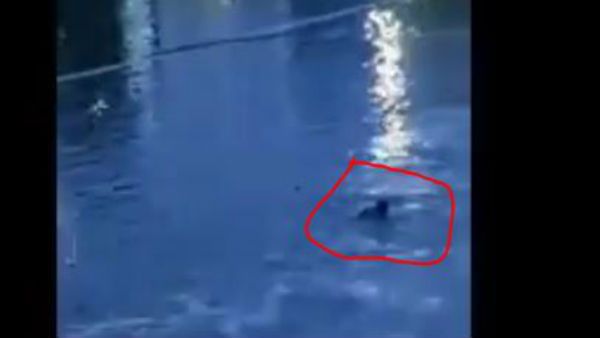హైదరాబాద్ వర్షాలు: అందరూ చూస్తుండగానే వరదనీటిలో కొట్టుకుపోయిన వ్యక్తి(వీడియో)