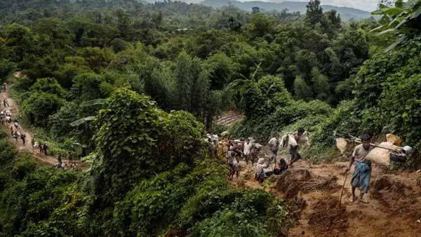 రోహింగ్యాల ఊచకోత: రేప్, సామూహిక ఖననం: షాకింగ్ ట్విస్ట్: క్లియరెన్స్ ఆపరేషన్‌గా