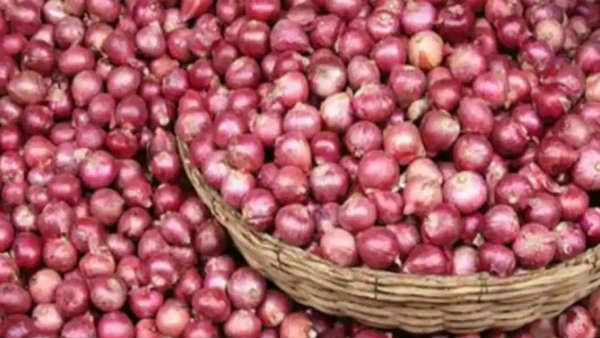ఉల్లిపాయల ఎగుమతిపై నిషేధం - ధరల పెరుగుదల, కొరత నేపథ్యంలో కేంద్రం కీలక నిర్ణయం