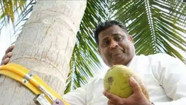 కొబ్బరి చెట్టెక్కిన మంత్రి .. అక్కడ నుండే కొబ్బరి కొరతపై మాట్లాడిన మంత్రి .. కారణమేంటంటే !!