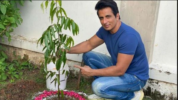 గ్రీన్ ఇండియా ఛాలెంజ్: మొక్క నాటిన సోనూసూద్, ప్రతీ ఒక్కరు పాల్గొనాలని పిలుపు