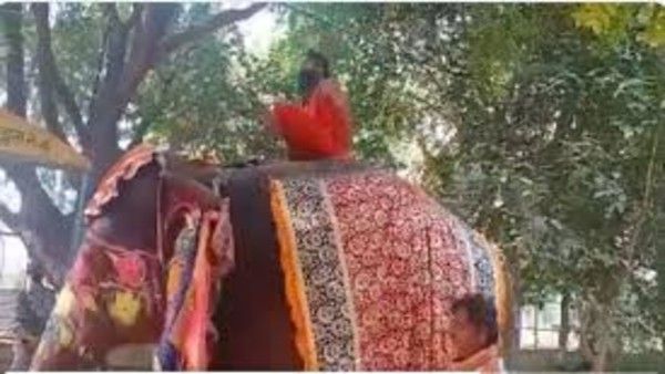 ఏనుగుపై ఆసనం వేస్తూ పడిపోయిన రాం దేవ్ బాబా.. సోషల్ మీడియాలో వీడియో వైరల్..