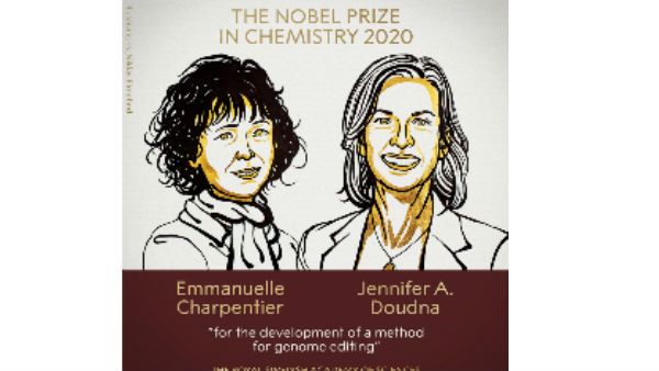 రసాయనశాస్త్ర నోబెల్ ప్రకటన - జన్యు మార్పులపై పరిశోధనకు గుర్తింపుగా ఇద్దరికి...