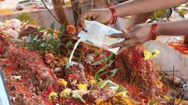 నాగుల చవితి అంటే ఏమిటి..? పురాణాలు ఏం చెబుతున్నాయి, ఈ పండగ విశిష్టత గురించి తెలుసుకోండి