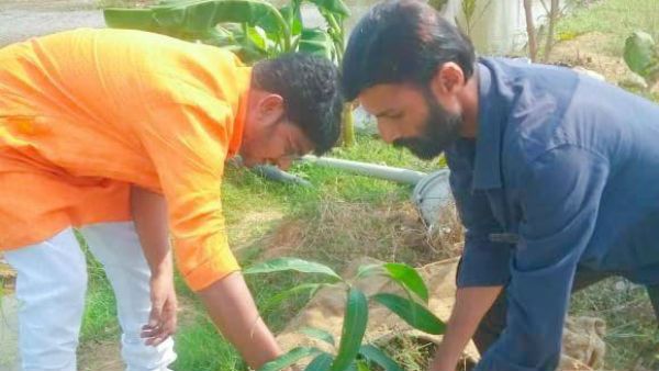 Must Read: వాస్తు ప్రకారం ఏ చెట్లు ఏ దిశల్లో ఉండాలి