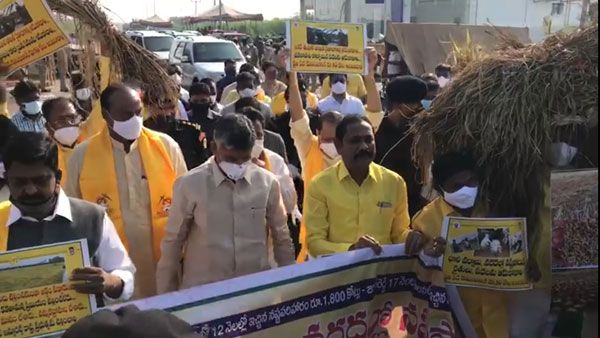 అసెంబ్లీకి టీడీపీ ప్రజాప్రతినిధుల ర్యాలీ- నివర్‌ తుపాను బాధితులకు సాయం- ఇతర డిమాండ్లు