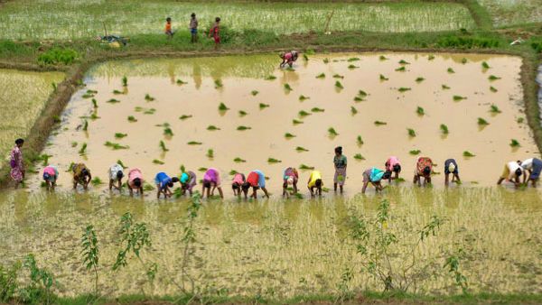 అన్నదాతలకు కేంద్రం మరో షాక్‌- ఇక పరిశ్రమలే నేరుగా రైతుల భూములు కొనే ప్రతిపాదన