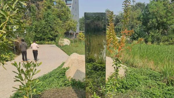 భారత్‌లో తొలిసారి: అహ్మదాబాద్ పార్కులో ప్రత్యక్షమైన ‘మిస్టీరియస్ మోనోలిత్’