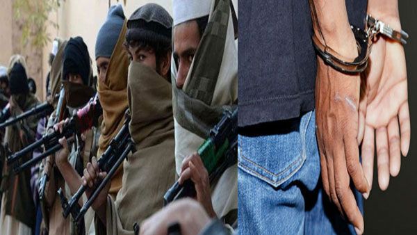 Jihadi gang: సౌత్ ఇండియాలో స్కెచ్, షహాదత్ మా గురి కోడ్ తో జీహాదీ టార్గెట్, రషీద్ అందర్ !