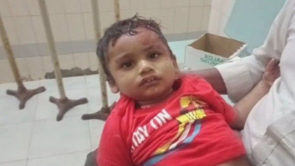 విషాదంగా విహారయాత్ర: మరణాలను తగ్గించిన వృక్షం, మృతులు వీరే, పీఎం మోడీ, సీఎంల దిగ్భ్రాంతి