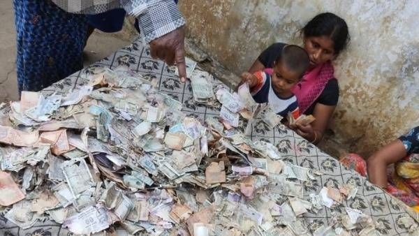 కృష్ణాజిల్లాలో విచిత్రం- ట్రంకు పెట్టెలో 5 లక్షలు తినేసిన చెద పురుగులు- బాధితుల గగ్గోలు