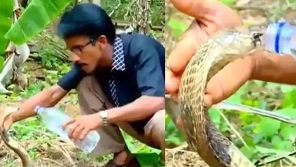 Viral Video:ప్రేమ ధైర్యం రెండు ఒకే చోట.. నాగుపాము దాహం తీర్చిన ఇతనికి సలాం..!