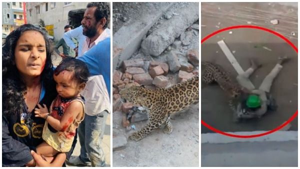 viral video:ఇళ్లలోకి చొరబడి చిరుత బీభత్సం -చిన్నారి సహా ఐదుగురికి గాయాలు -5గంటల హైటెన్షన్