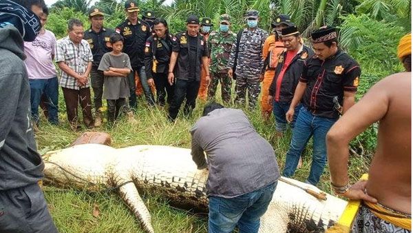 viral video: బాలుణ్ని మింగిన భారీ మొసలి -దాన్ని బంధించి, పొట్ట చీల్చి చూడగా...