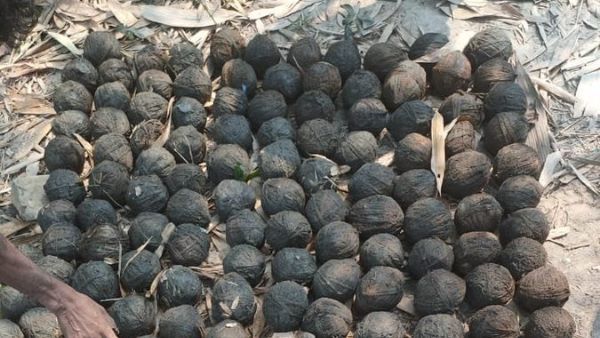 పోలింగ్ నాడు అలజడికి కుట్ర: 200లకు పైగా క్రూడ్ బాంబులు: అల్లకల్లోలమే