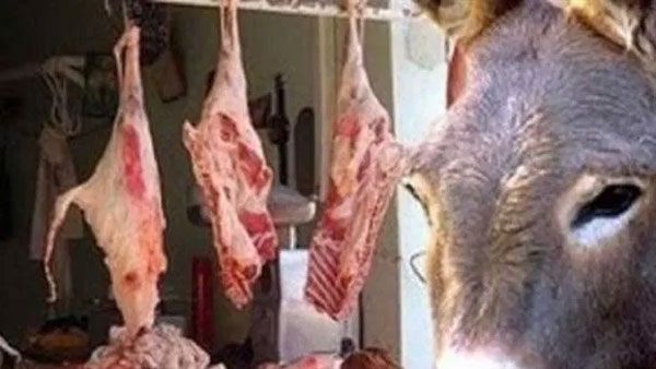 అంతులేని లైంగిక సామర్థ్యం.. ఆ ప్రచారంతో గాడిద మాంసానికి విపరీతమైన డిమాండ్.. ఏపీలో వింత పోకడ..