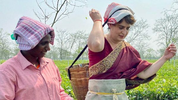 తేయాకు కార్మికురాలిగా .. అసోం ఎన్నికల ప్రచారంలో టీ ఎస్టేట్ లో ప్రియాంకా గాంధీ సందడి
