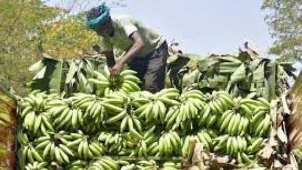 రూ.1.20 కోట్లు: 108 చ.అ స్థలం కొనుగోలు.. అరటిపండ్ల చిరు వ్యాపారి ధైర్యం..