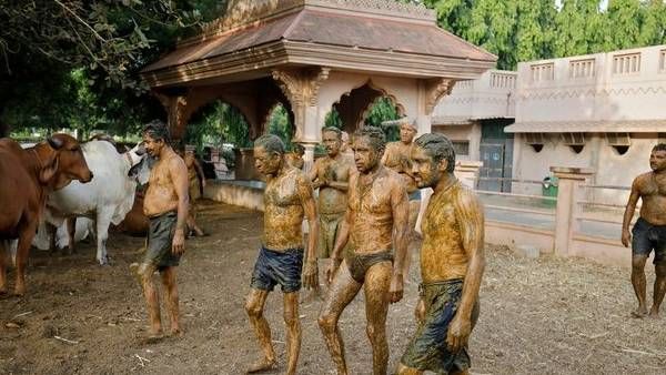 ఆవుపేడ పూసుకుంటే కరోనాకు చెక్?: ప్రమాదకర ఫంగల్ ఇన్ఫెక్షన్ అంటూ వైద్యుల హెచ్చరిక