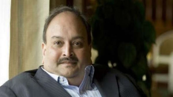 డొమినికాకు చిక్కిన మెహుల్‌ ఛోక్సీ-అప్పగింతకు రెడీ-భారత్‌ టీకా సాయానికి ప్రతిగా