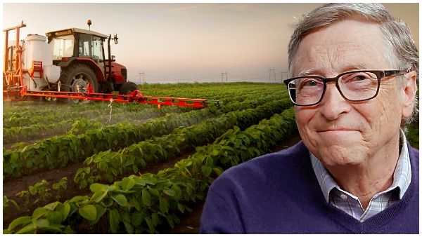Bill Gates: అమెరికాలోనే పెద్ద రైతు -2.7లక్షల ఎకరాల సాగుభూమి -ఆ ఆలుగడ్డలే McDonald's ఫ్రైస్‌గా