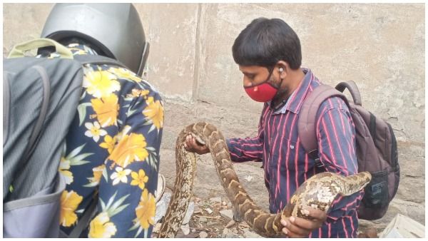 hyderabad: జనావాసాల్లోకి 15 అడుగుల కొండచిలువ -జీడిమెట్ల షాపూర్‌నగర్‌‌లో ఘటన -చివరికి‌