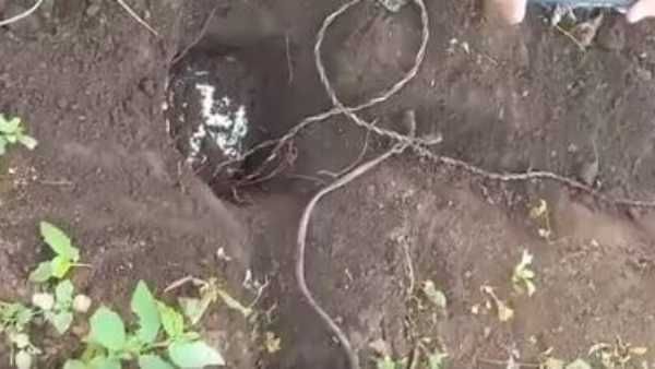 AOBలో తప్పిన పెనుముప్పు- మావోయిస్టుల దుశ్చర్యకు బ్రేక్-భద్రతాదళాలు సేఫ్‌