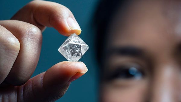 కర్నూలు మహిళకు దొరికిన విలువైన వజ్రం... టమాటా నారు నాటుతుండగా...