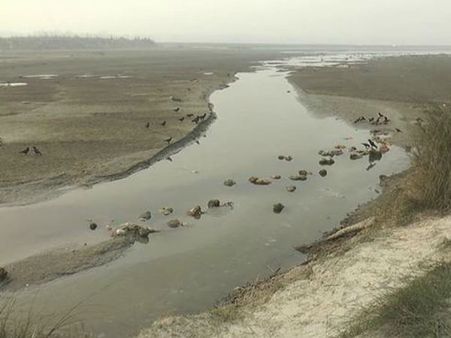 గంగానదిలో పెరిగిన నీరు.. తేలుతున్న శవాలు