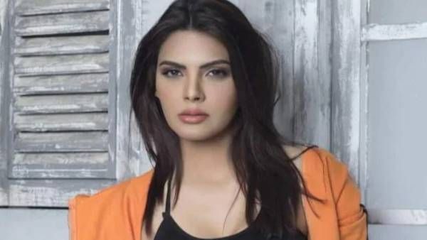 హద్దులు దాటి వీడియోలు చేయాలన్నారు: రాజ్‌కుంద్రాపై షెర్లిన్ సంచలనం